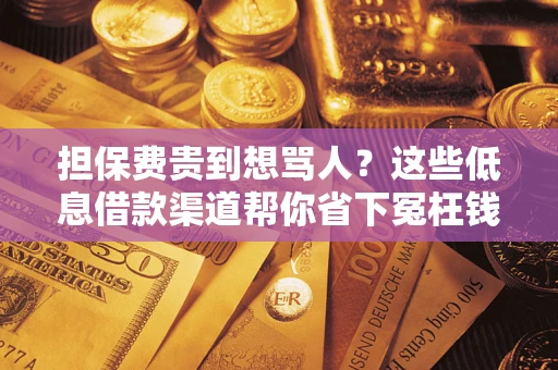 济南担保费贵到想骂人？这些低息借款渠道帮你省下冤枉钱