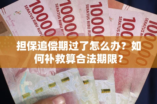 济南担保追偿期过了怎么办？如何补救算合法期限？