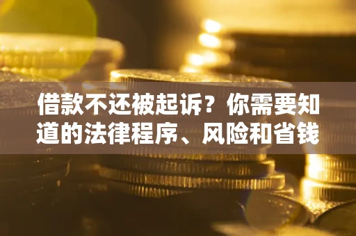 济南借款不还被起诉？你需要知道的法律程序、风险和省钱技巧